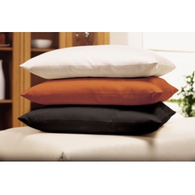 Sofa Scatter Cushions