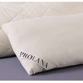 Organic Merino LambsWool Pillows - Jersey Covers