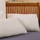 Organic Millet Husk Pillows - Percale Covers
