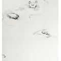 Ice Bear - in Sateen or Sateen and Brushed Cotton