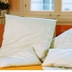 Organic Merino LambsWool Pillows - Sateen Covers